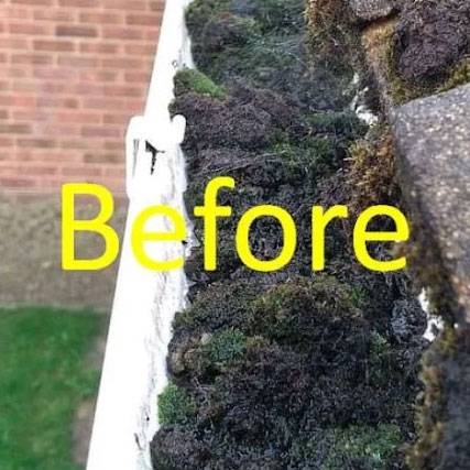 Mossy Gutter Before